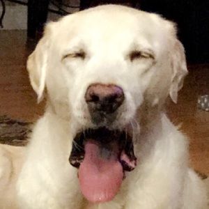 Meet your Posher, Sydnie